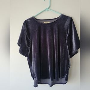 Madewell flutter sleeve blue velvet top